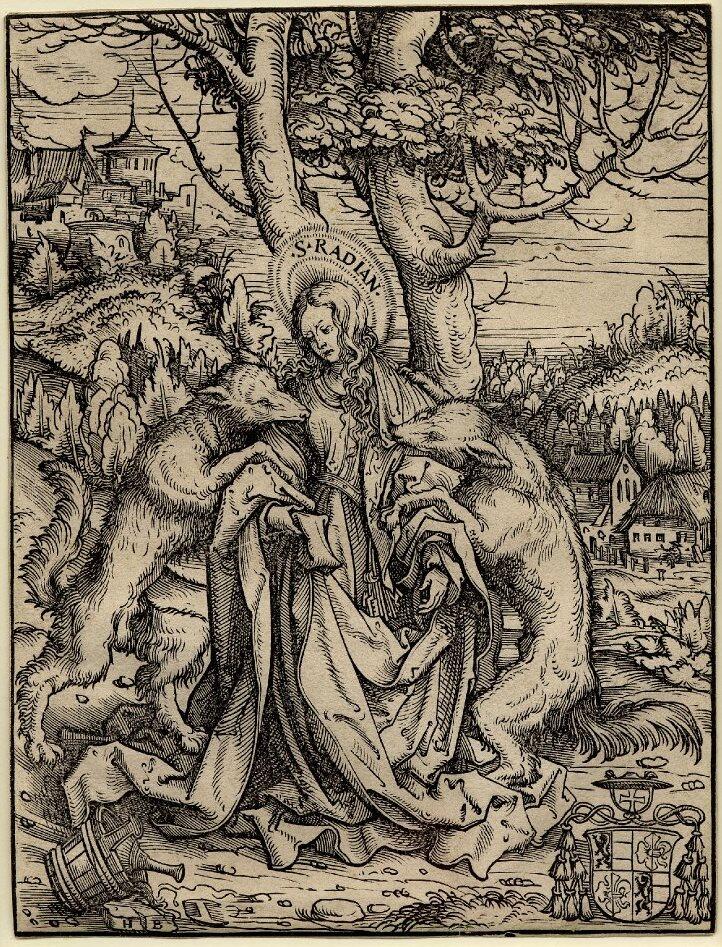 Radegund von Wellenburg