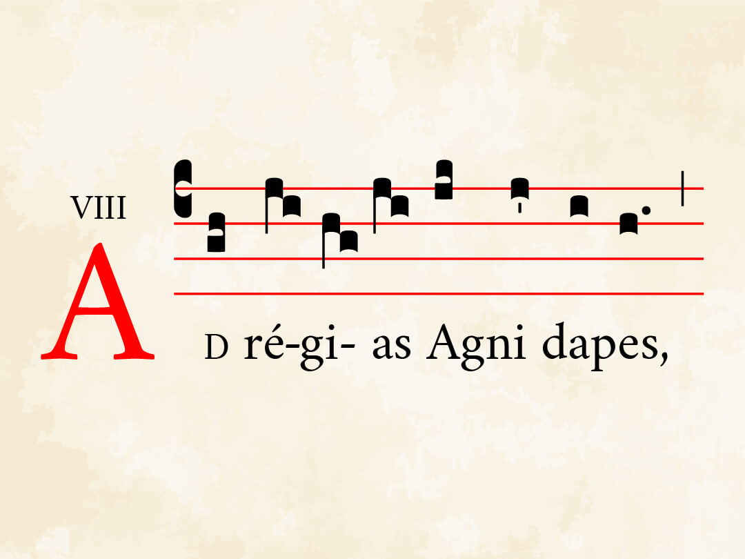Ad regias Agni dapes