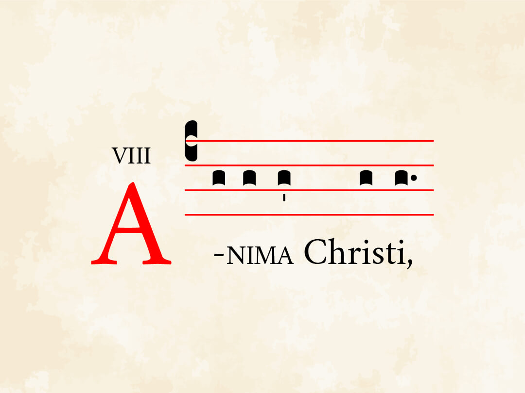 Anima Christi I