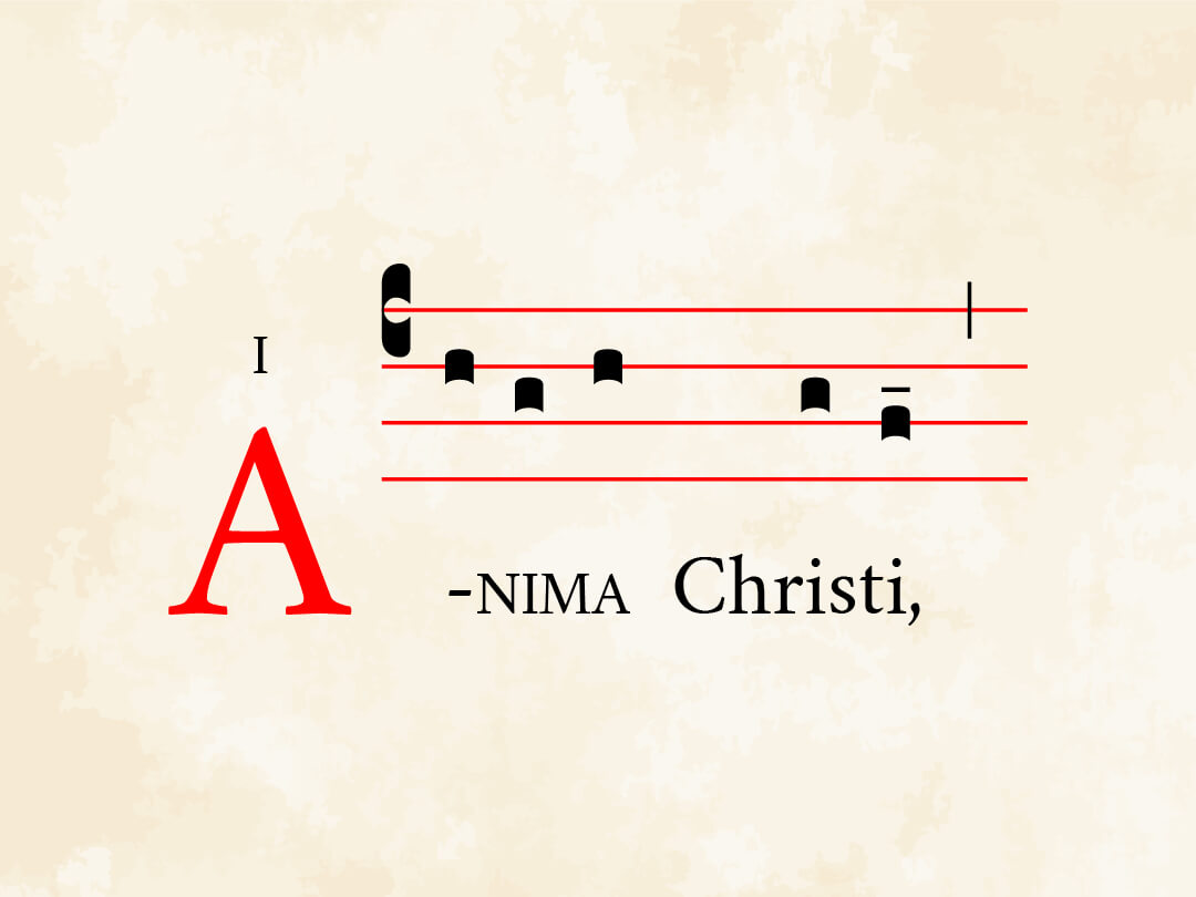 Anima Christi II