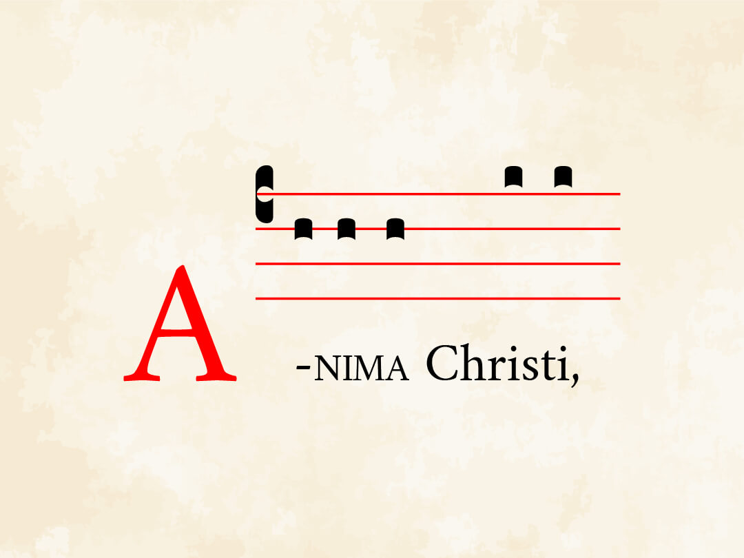 Anima Christi III