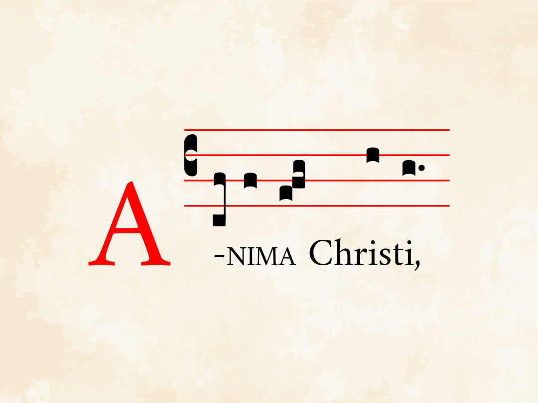 Anima Christi IV