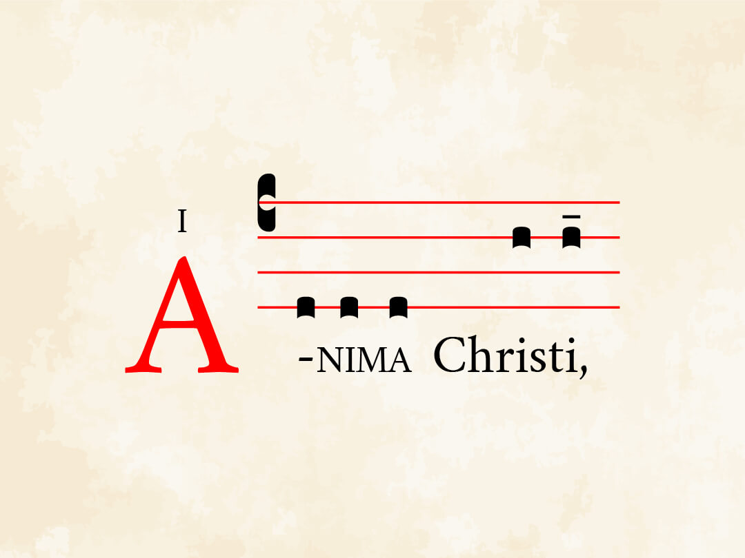 Anima Christi V