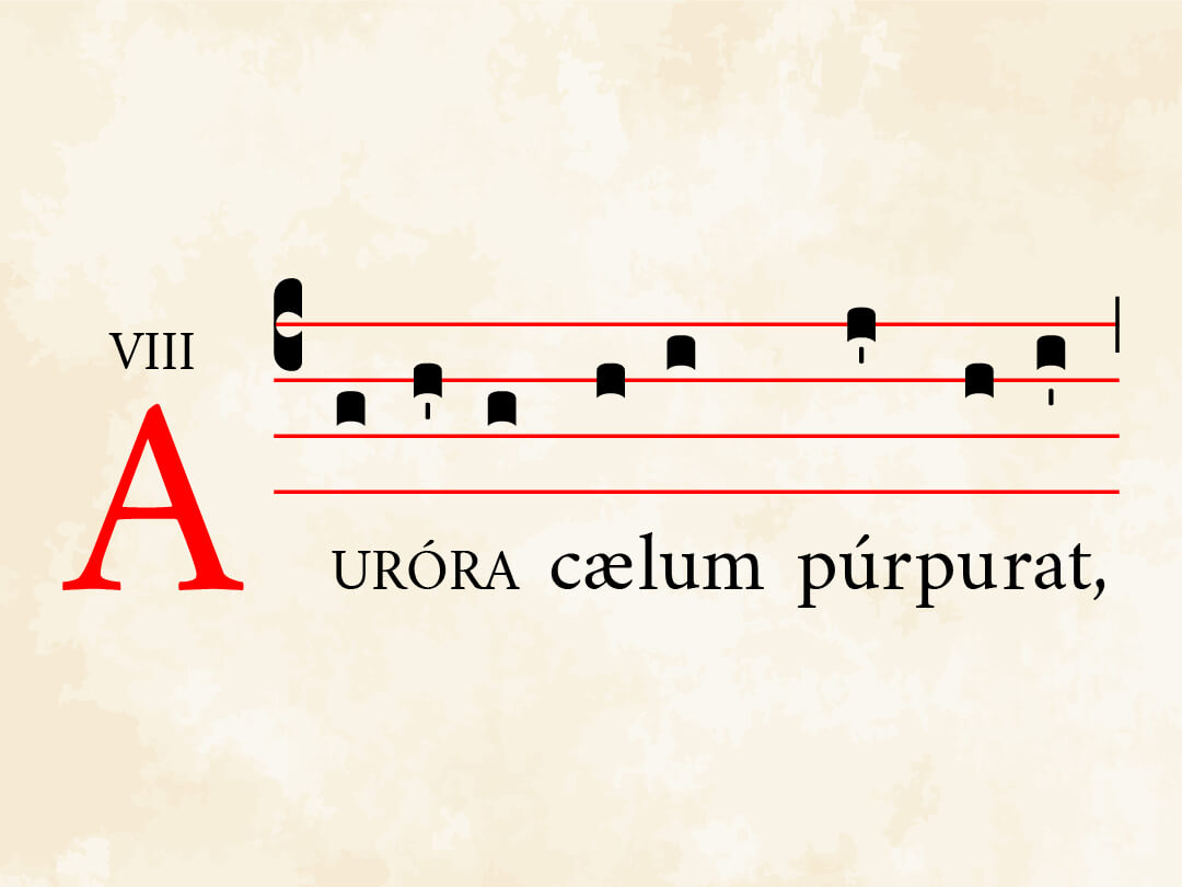 Aurora caelum purpurat
