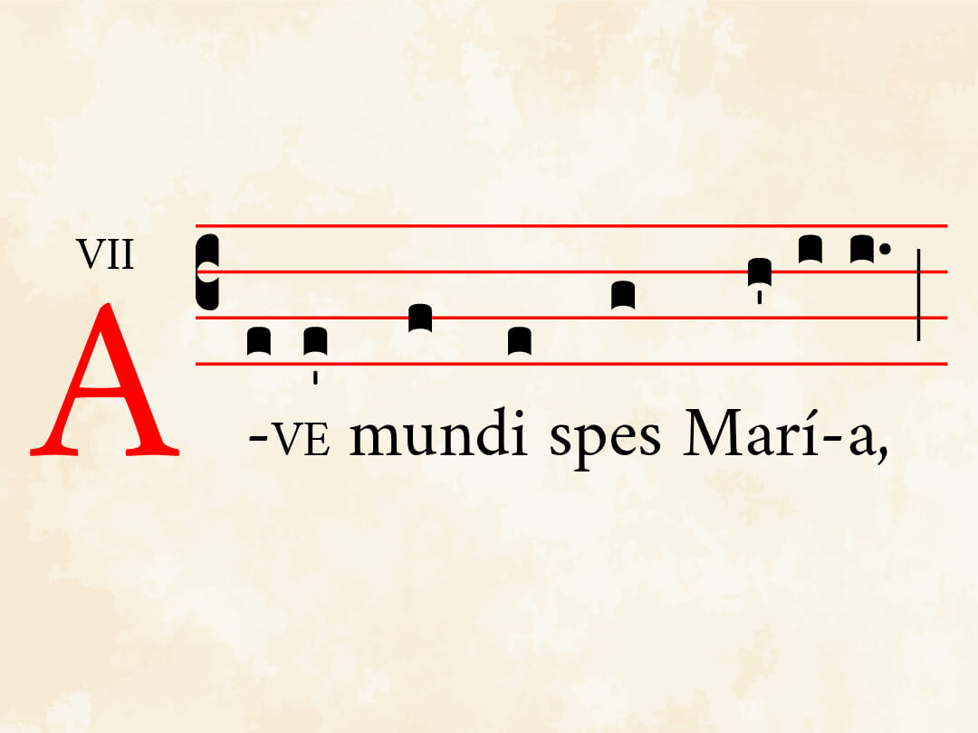 Ave mundi spes Maria